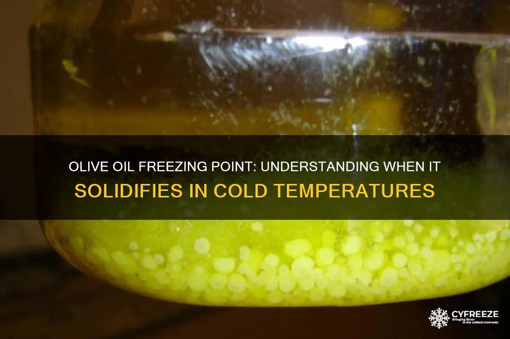 what temperature does olive oil freeze at