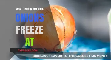 At What Temperature Do Onions Freeze and How to Store Them