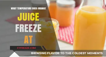 Chilling Facts: At What Temperature Does Orange Juice Freeze?