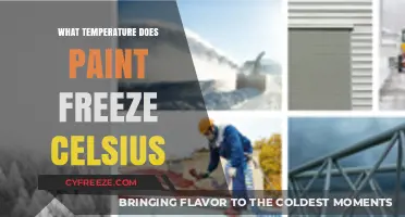 At What Celsius Temperature Does Paint Freeze? A Guide