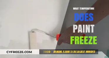 At What Temperature Does Paint Freeze? A Comprehensive Guide