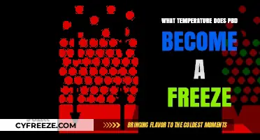 At What Temperature Does PBD Transition to a Frozen State?