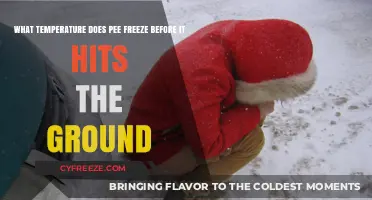 When Does Pee Freeze Mid-Air? Exploring the Chilling Science