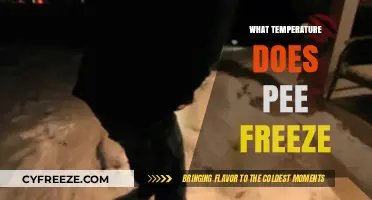 When Does Pee Freeze? Exploring the Chilling Point of Urine