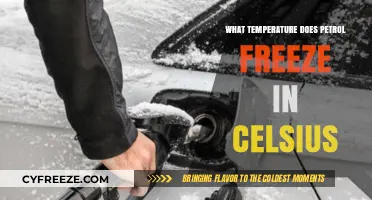 Petrol Freezing Point: Understanding Celsius Temperature Threshold