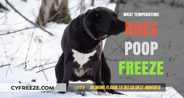 When Does Poop Freeze? Exploring the Chilling Point of Human Waste