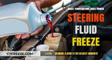 Prevent Winter Damage: Know When Power Steering Fluid Freezes