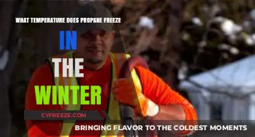 Propane Freezing Point: Winter Challenges and Storage Solutions Explained