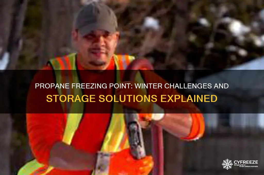what temperature does propane freeze in the winter
