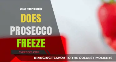 Prosecco Freezing Point: What Temperature Turns Bubbles to Ice?