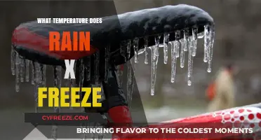 Rain-X Freezing Point: Understanding Its Limits in Cold Weather