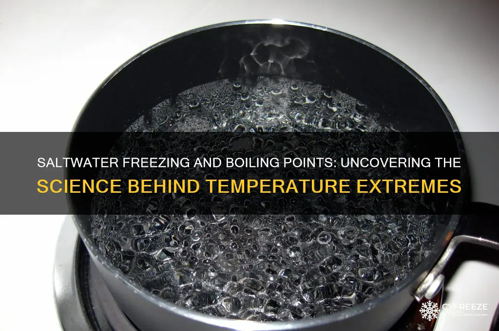 what temperature does saltwater freeze and boil