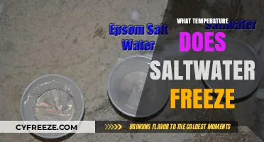 Saltwater Freezing Point: Understanding How Temperature Affects Ocean Ice Formation