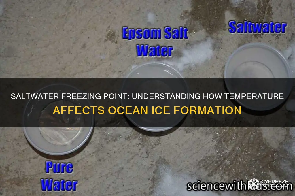 what temperature does saltwater freeze