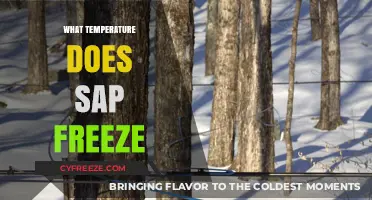 Sap Freezing Point: Understanding Temperature Thresholds for Maple Syrup Production