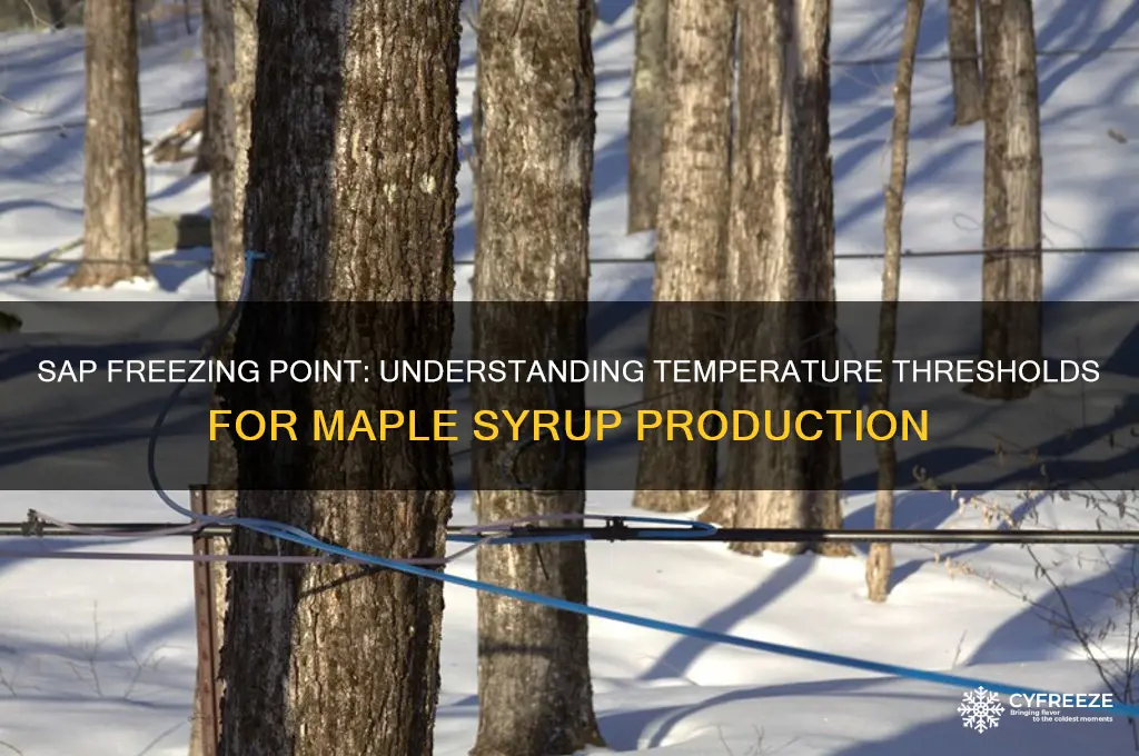 what temperature does sap freeze