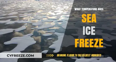 Understanding Sea Ice Freezing: Temperature Thresholds and Factors Explained