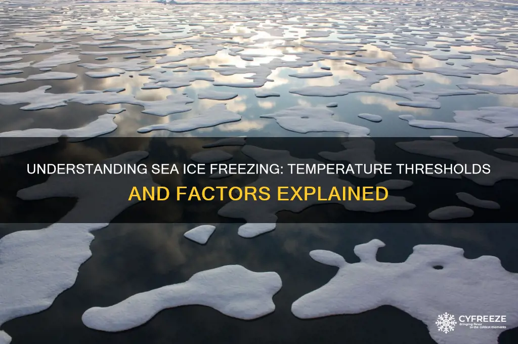 what temperature does sea ice freeze