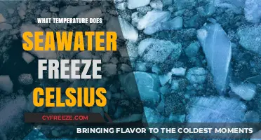 Understanding the Freezing Point of Seawater in Celsius