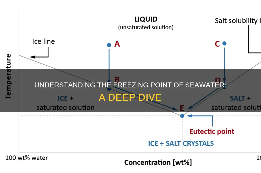 what temperature does seawater freeze