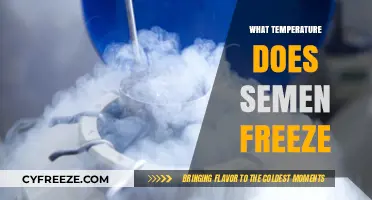 Semen Freezing Temperature: Understanding the Critical Threshold for Preservation