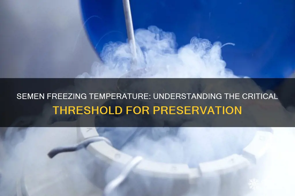 what temperature does semen freeze