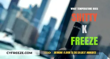 What Temperature Does Shitty K Freeze? A Comprehensive Guide