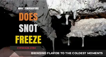 At What Temperature Does Snot Freeze? A Chilly Exploration