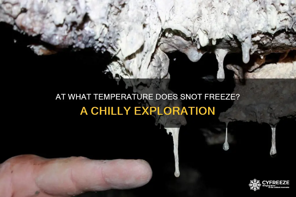 what temperature does snot freeze