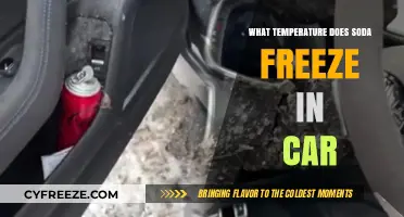 Chilling Truth: At What Temperature Does Soda Freeze in Your Car?