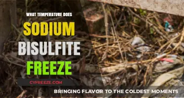 Sodium Bisulfite Freezing Point: Understanding Its Temperature Threshold