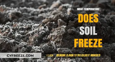 When Does Soil Freeze? Understanding Critical Temperatures for Ground Protection