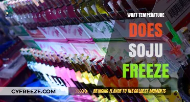 Chilling Soju: Discover the Freezing Point of Korea's Favorite Spirit
