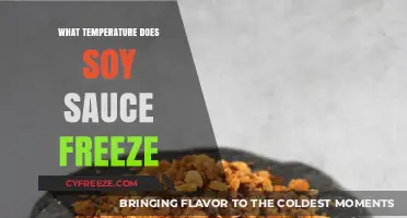 At What Temperature Does Soy Sauce Freeze? A Guide