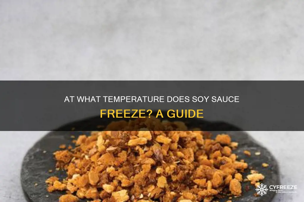 what temperature does soy sauce freeze