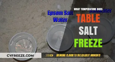 Exploring the Freezing Point of Table Salt: A Surprising Discovery