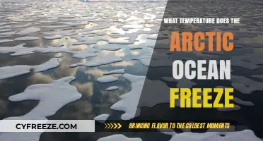 Arctic Ocean Freezing Point: Understanding Temperature Thresholds for Sea Ice Formation