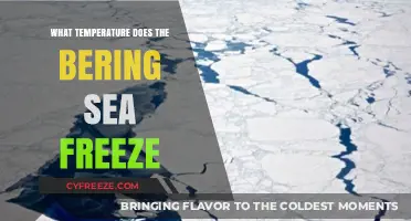 When Does the Bering Sea Freeze? Exploring Arctic Temperatures and Ice Formation