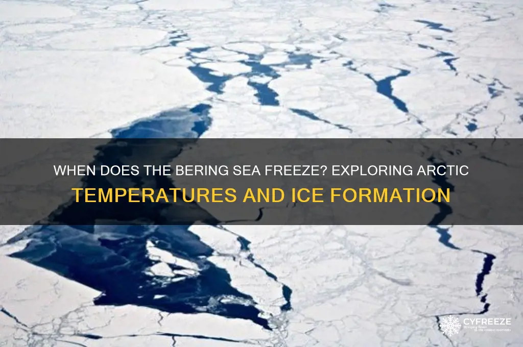 what temperature does the bering sea freeze