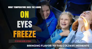 At What Temperature Does Eye Liquid Freeze? A Scientific Exploration
