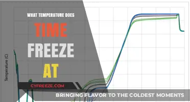 Exploring the Myth: At What Temperature Does Time Freeze?