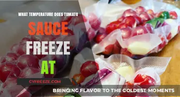 Tomato Sauce Freezing Point: What Temperature Does It Freeze At?
