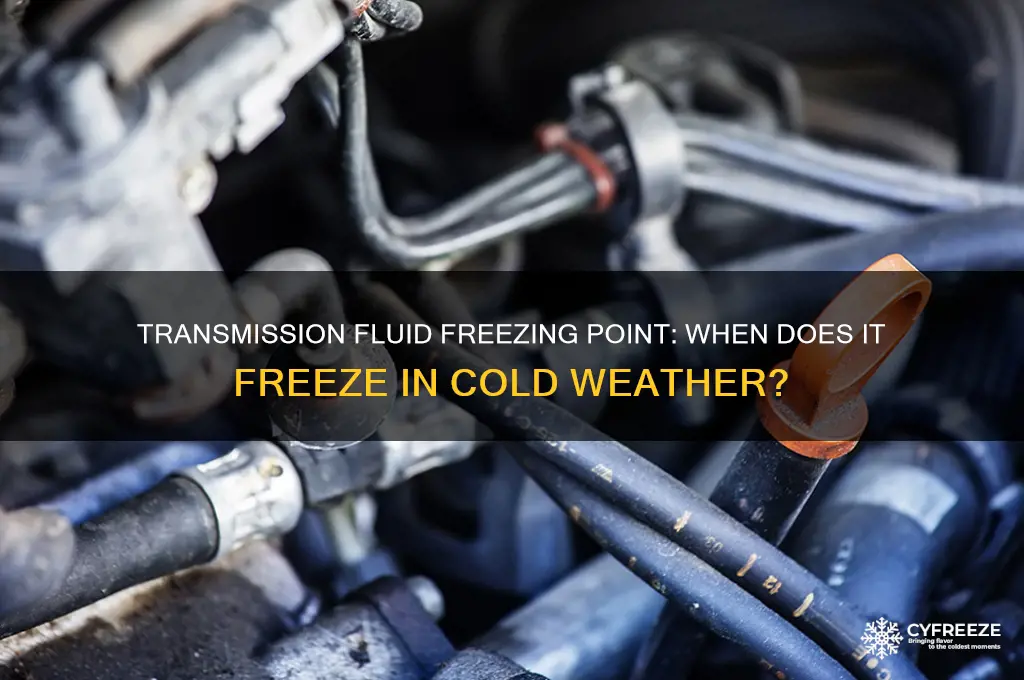 what temperature does transmission fluid freeze