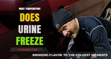 Urine Freezing Point: Understanding When and Why It Solidifies