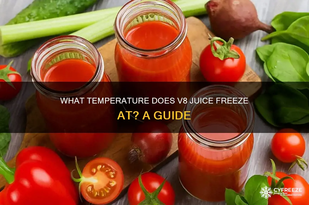 what temperature does v8 freeze