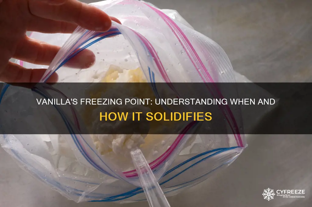 what temperature does vanilla freeze