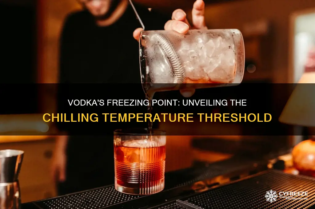 what temperature does vodka freeze at