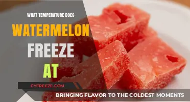 Watermelon Freezing Point: When Does It Turn to Ice?