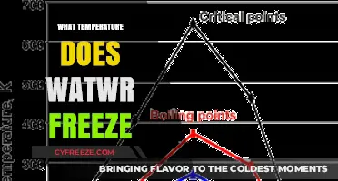 Understanding the Freezing Point of Water: Temperature and Factors Explained