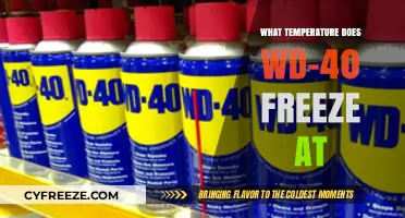 What Temperature Does WD-40 Freeze At? A Detailed Guide